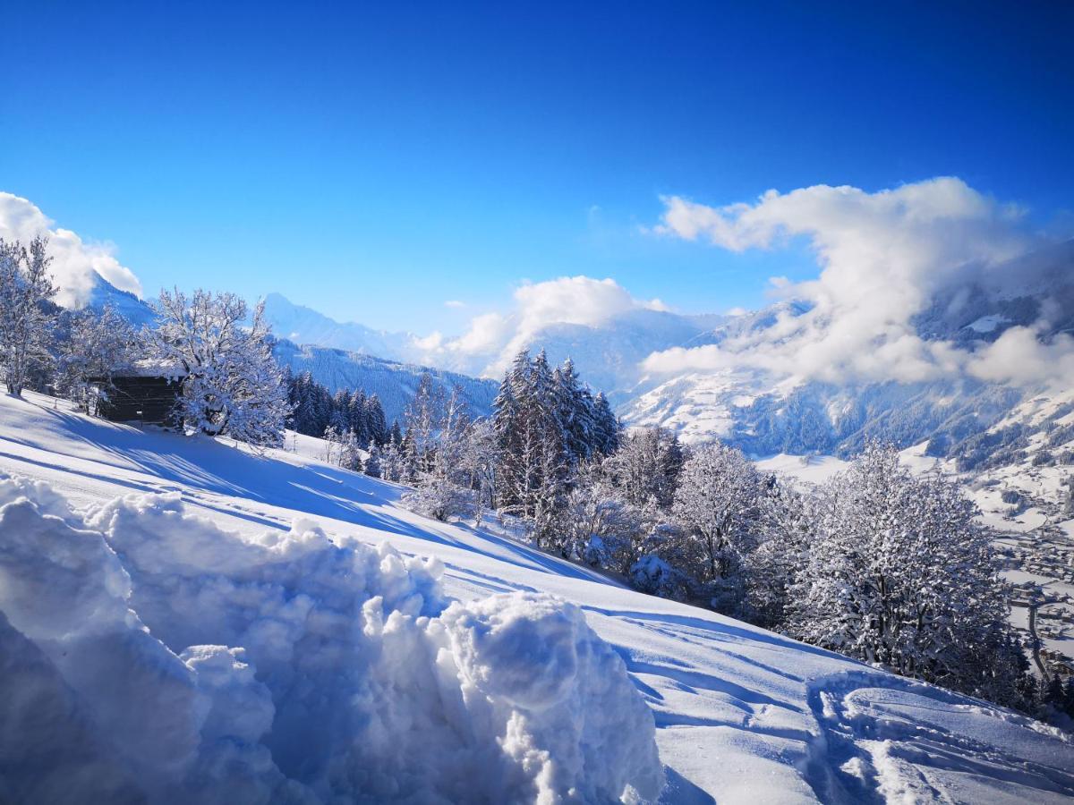Appartement Franz Zell am Ziller Bagian luar foto